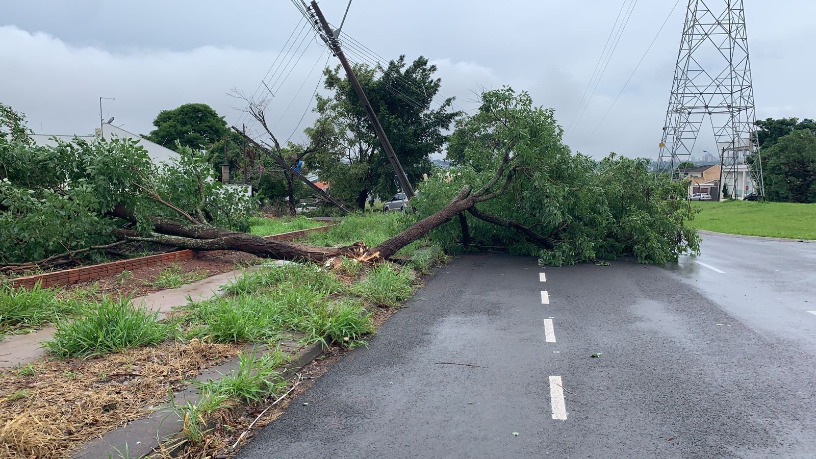 Com 3,5 mil imóveis sem luz, equipes ainda trabalham para recuperar danos causados por temporal em Maringá
