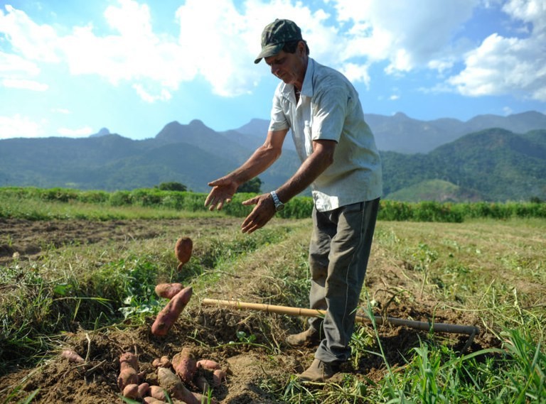 Governo federal autoriza desconto sobre o valor das parcelas das operações de crédito rural