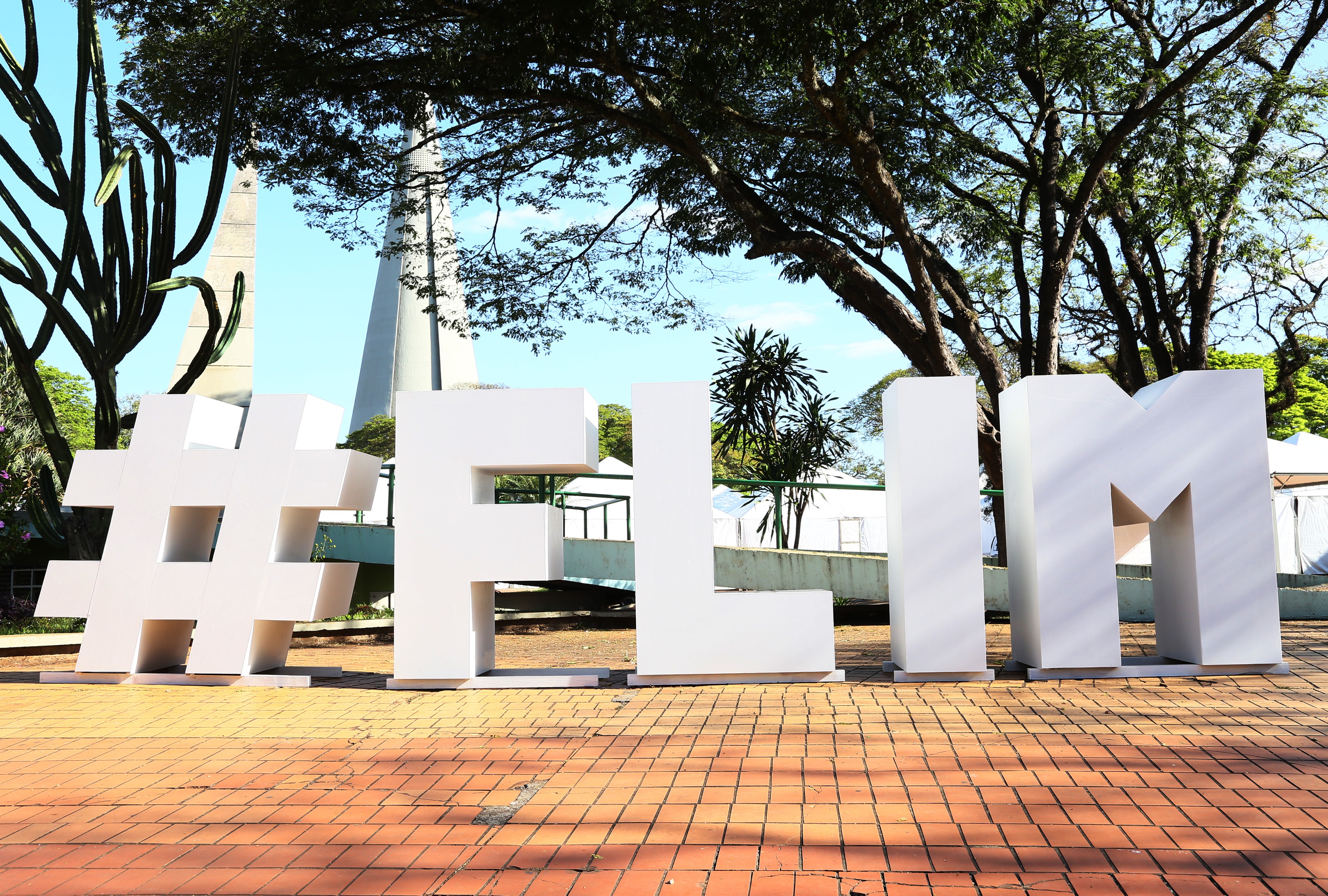 Saiba o que ver na Flim