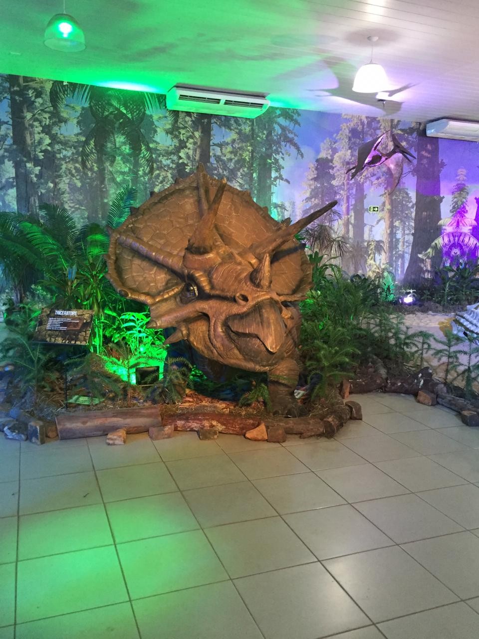 Pré-história no presente