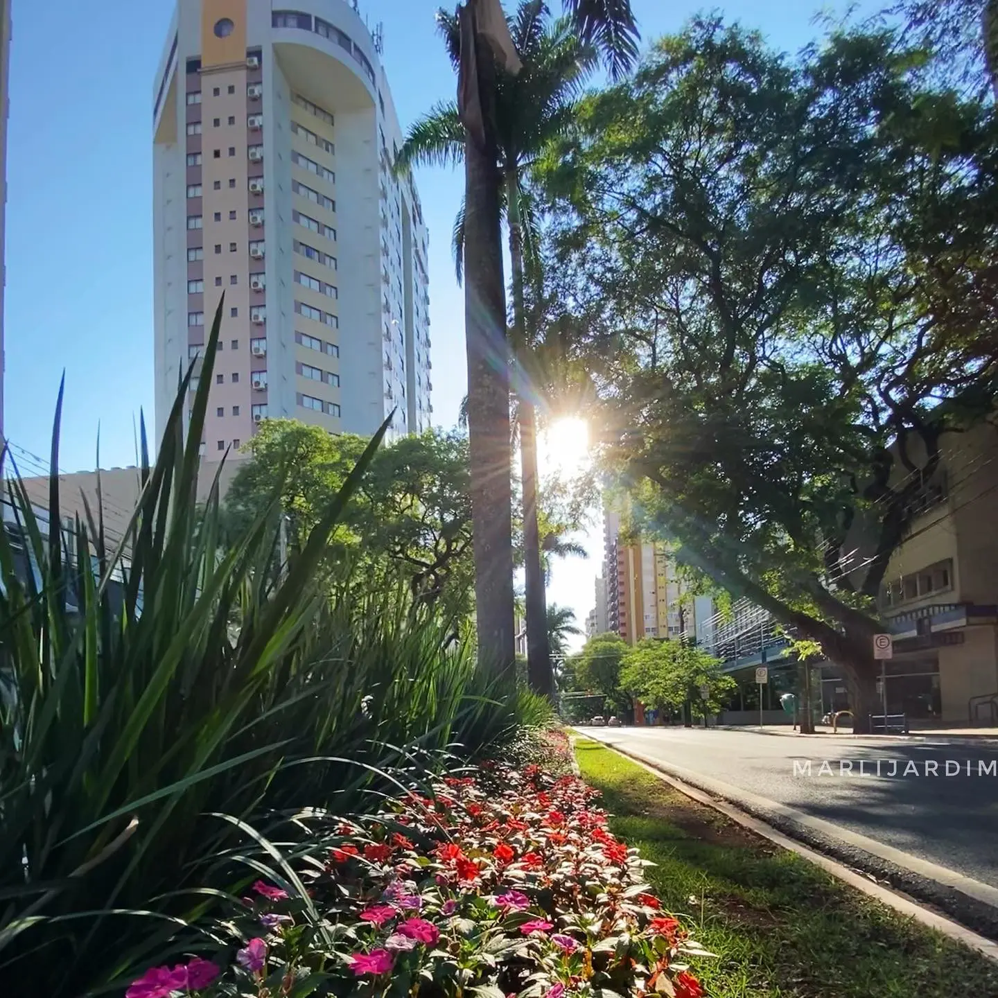 Com tempo firme e ensolarado, Maringá tem máxima de 27°C nesta terça-feira (19)