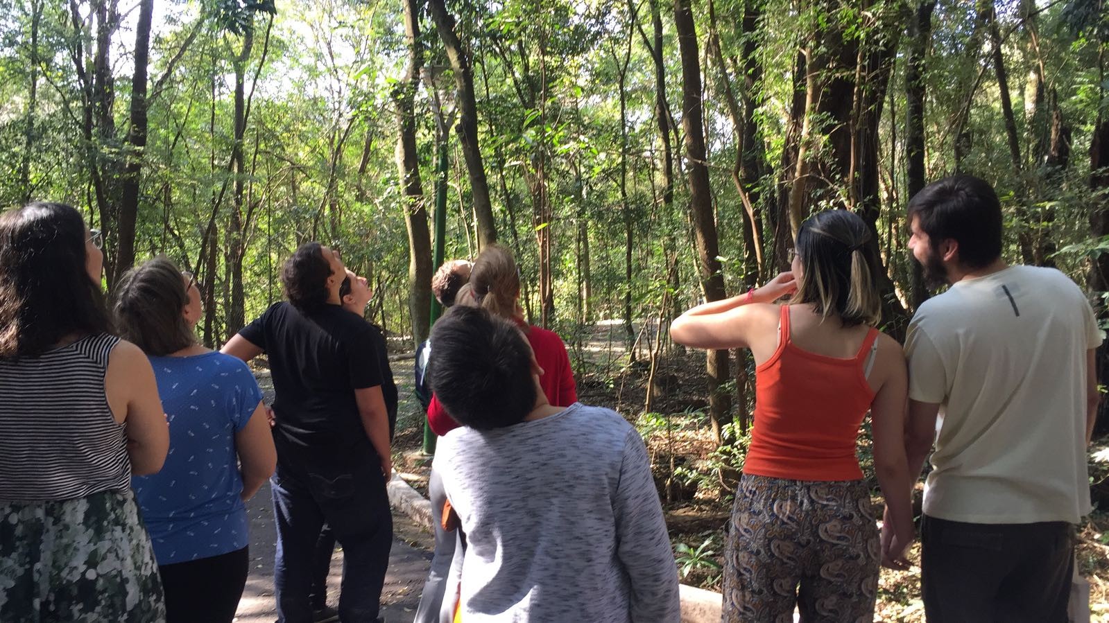 “Pássaringá” apresenta aves aos interessados em Maringá