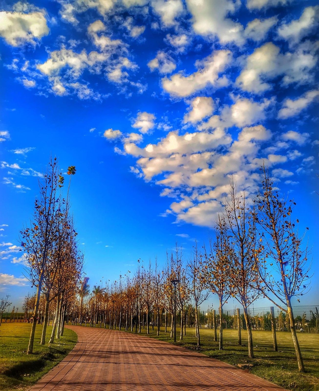 Tempo volta a ficar estável neste sábado (18) e temperaturas caem novamente em Maringá