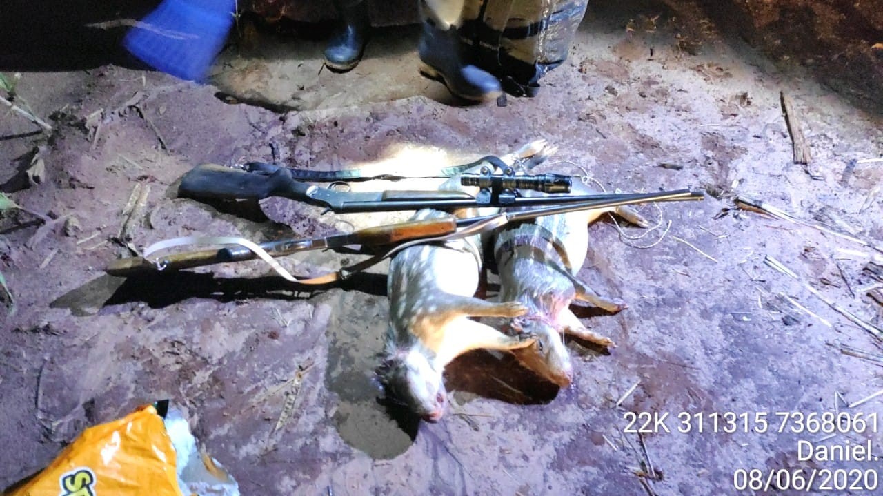 Dupla é presa e multada em R$ 10 mil por caça de animal silvestre