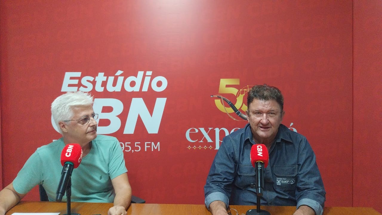 Inteligência artificial para classificação de grãos