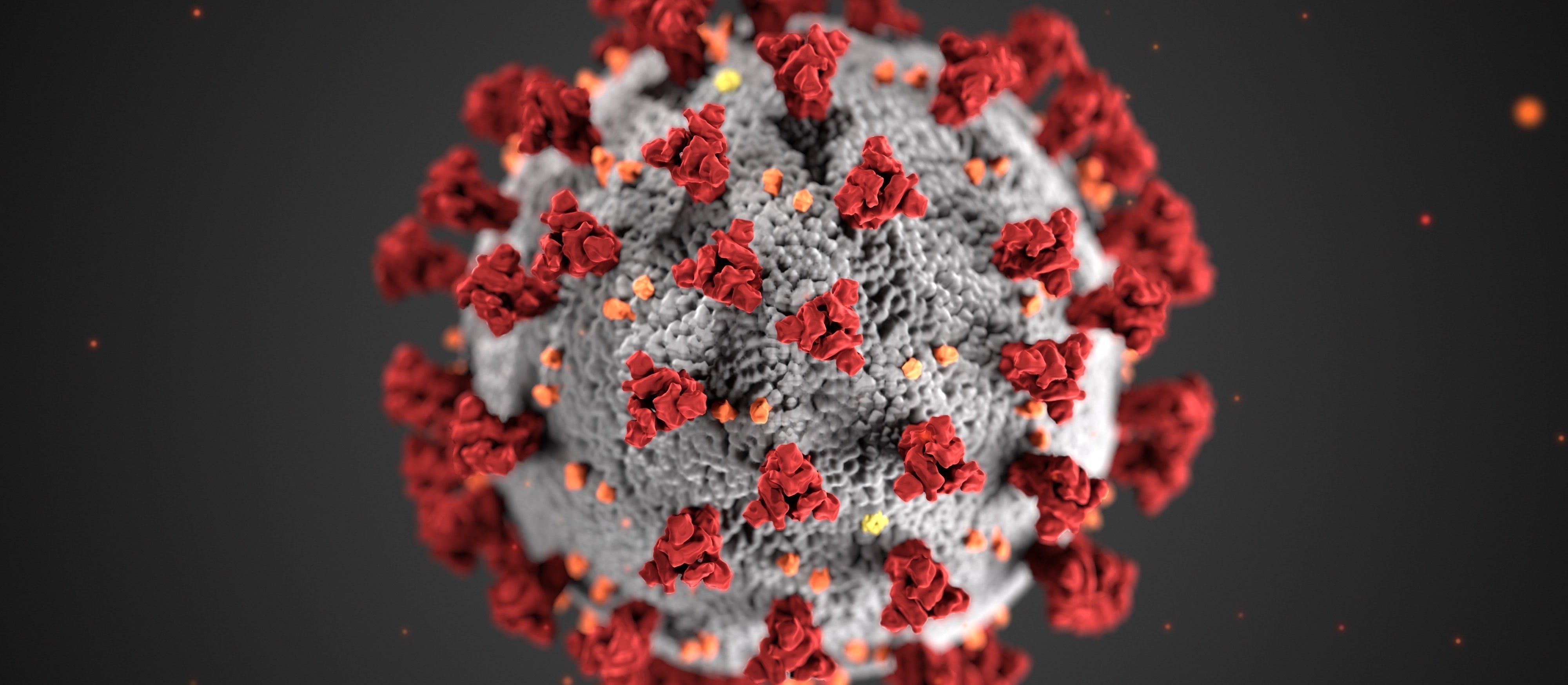 Confira o boletim sobre a Covid-19 deste domingo (25)