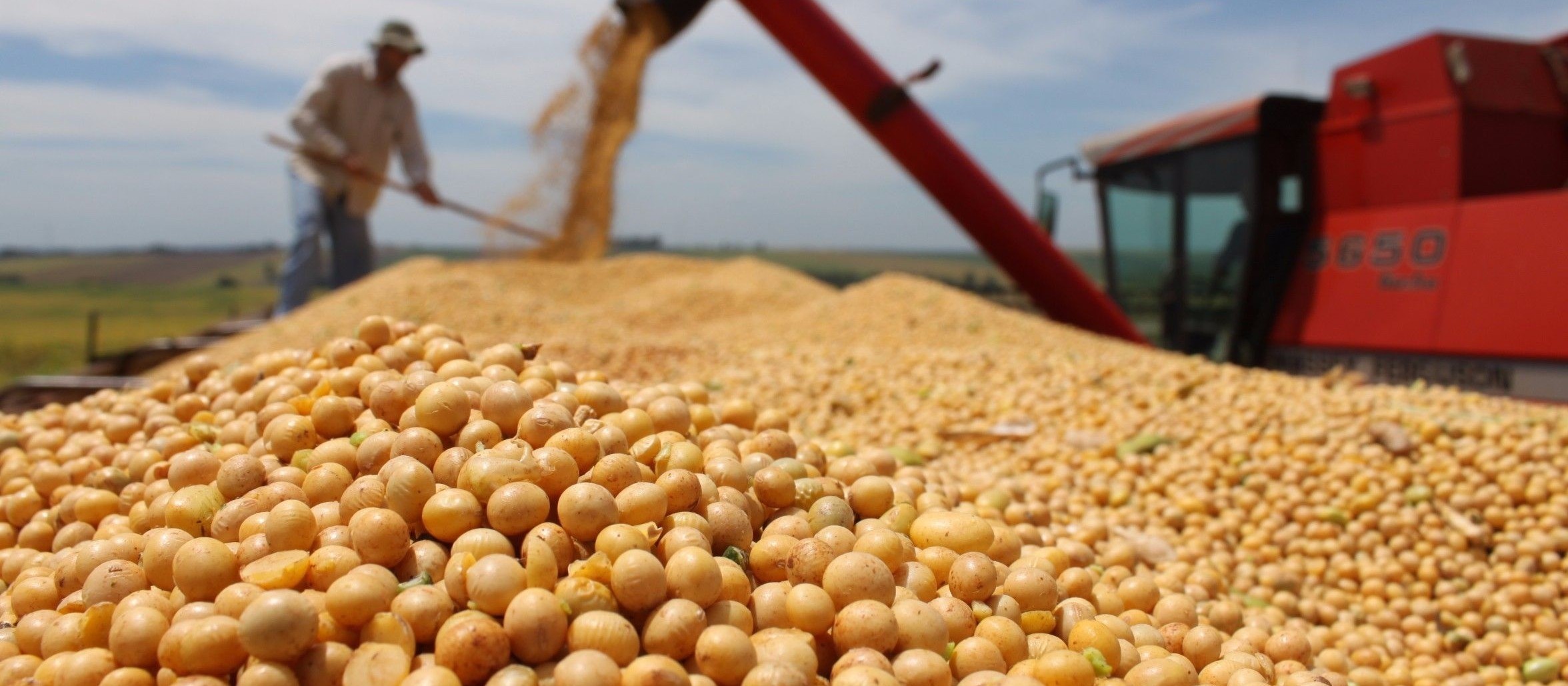 Soja custa R$ 75,50 a saca em Maringá