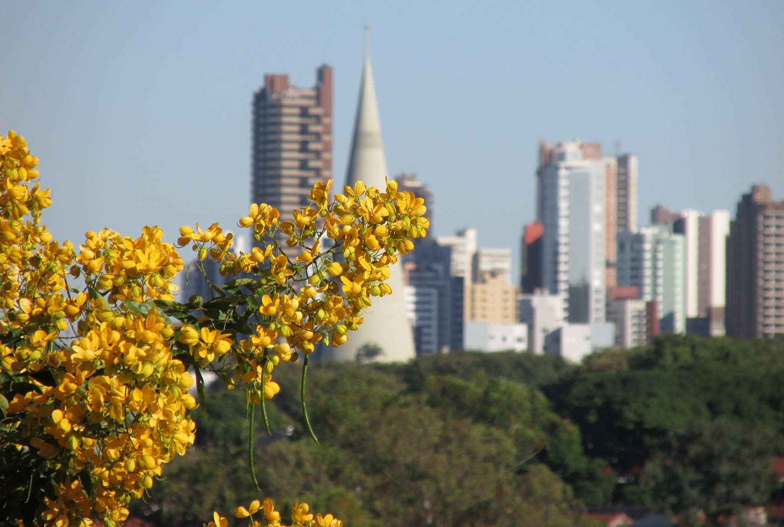 Segunda-feira (4) será ensolarada e sem chuva; máxima chega a 35º C