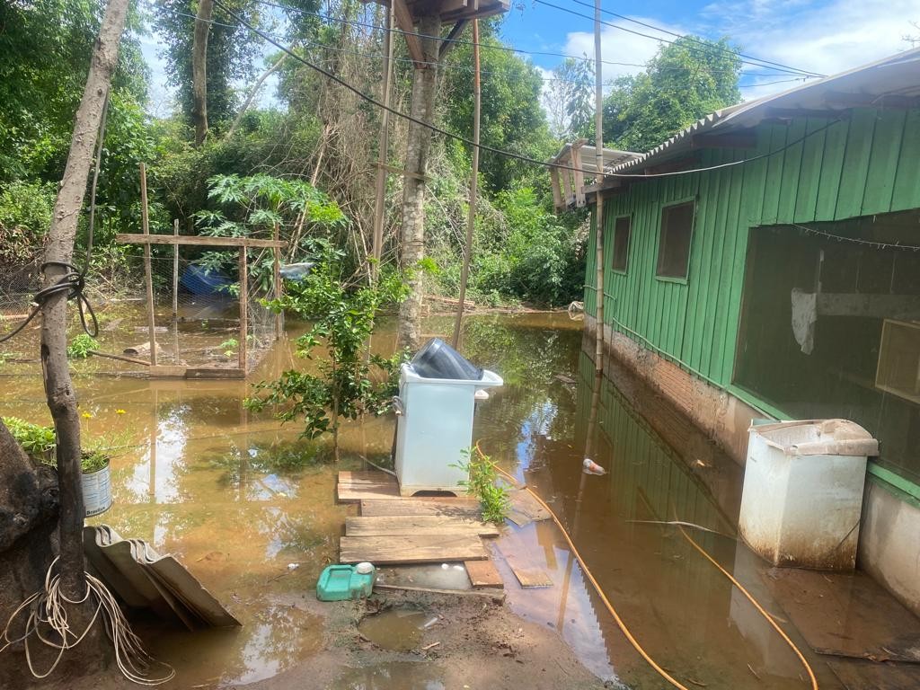 Ribeirinhos de Querência do Norte estão sendo retirados das residências
