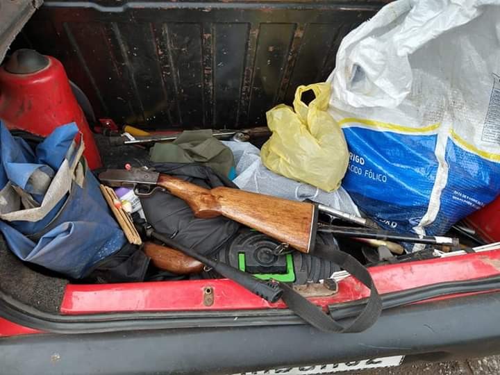 36 são presos por caça de animais silvestres