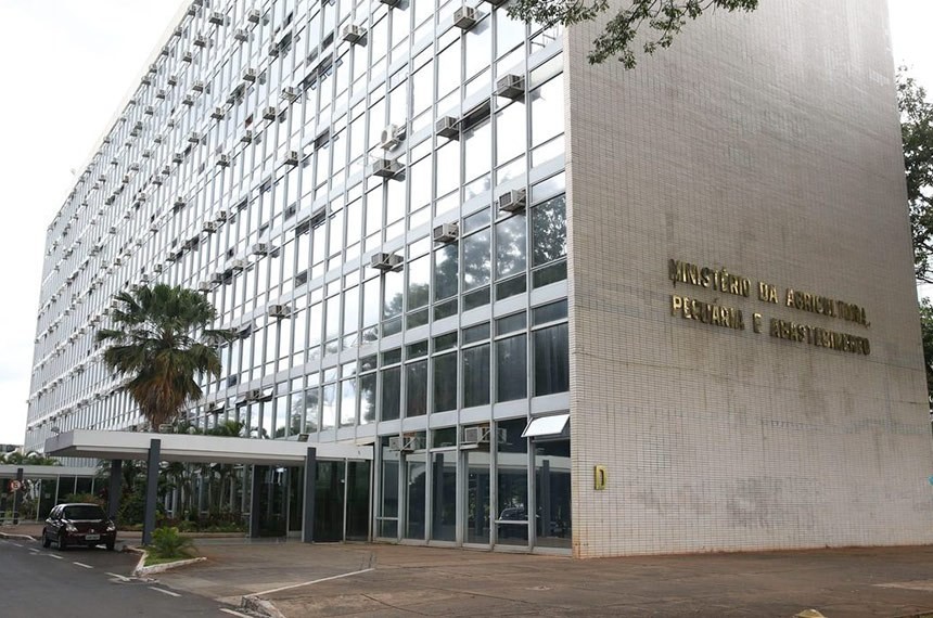 Agricultura: retirada temporária de tarifas de importação de soja, arroz e milho está em avaliação