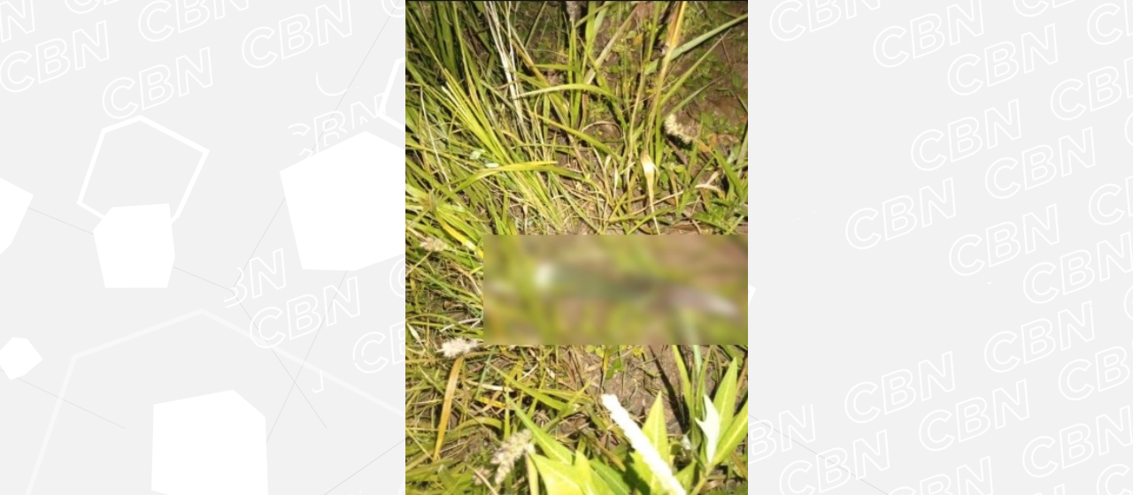 Filho esfaqueia pais e é encontrado ferido em Iporã