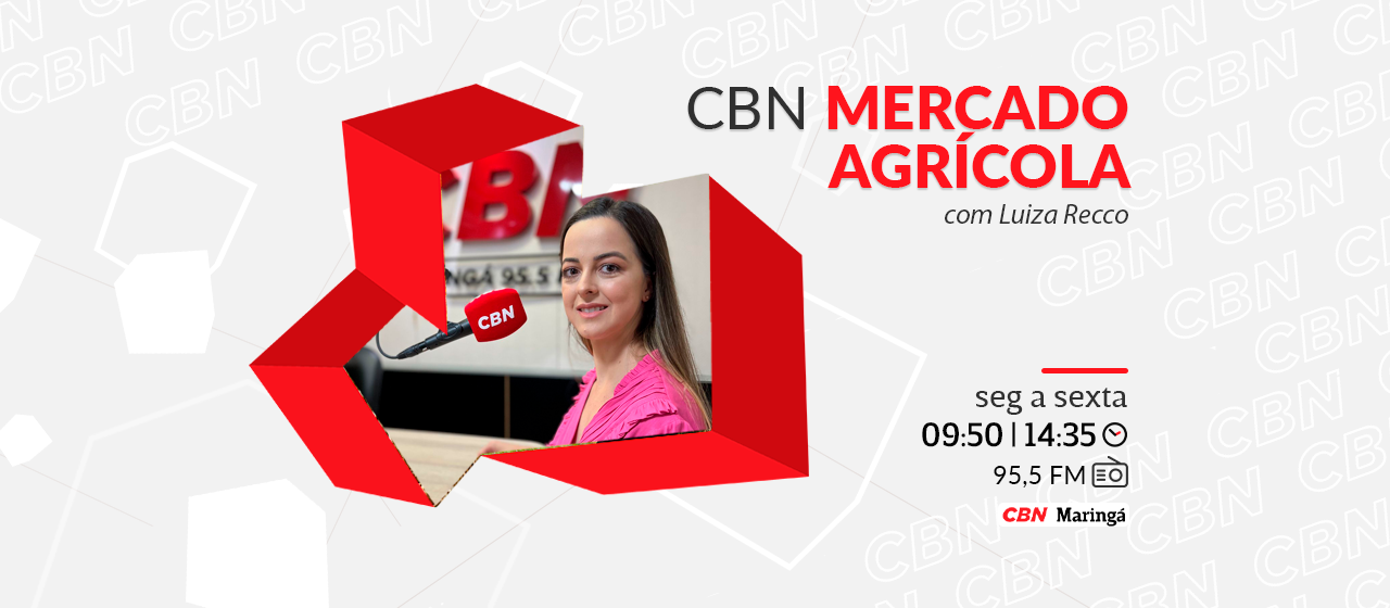 Mandioca custa R$1.218,78 na média regional