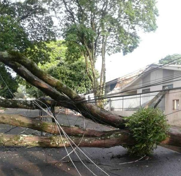 Oito postes quebraram durante o temporal em Maringá