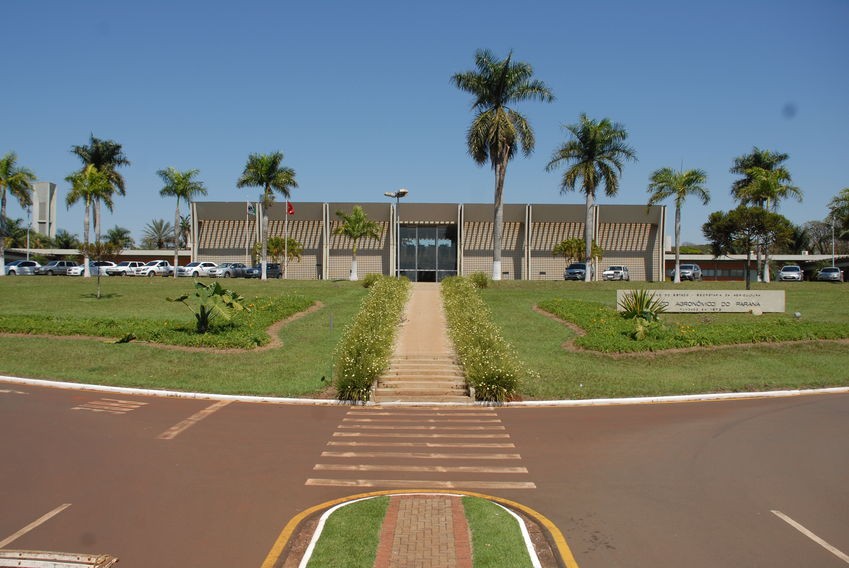 Iapar lança nova cultivar de trigo