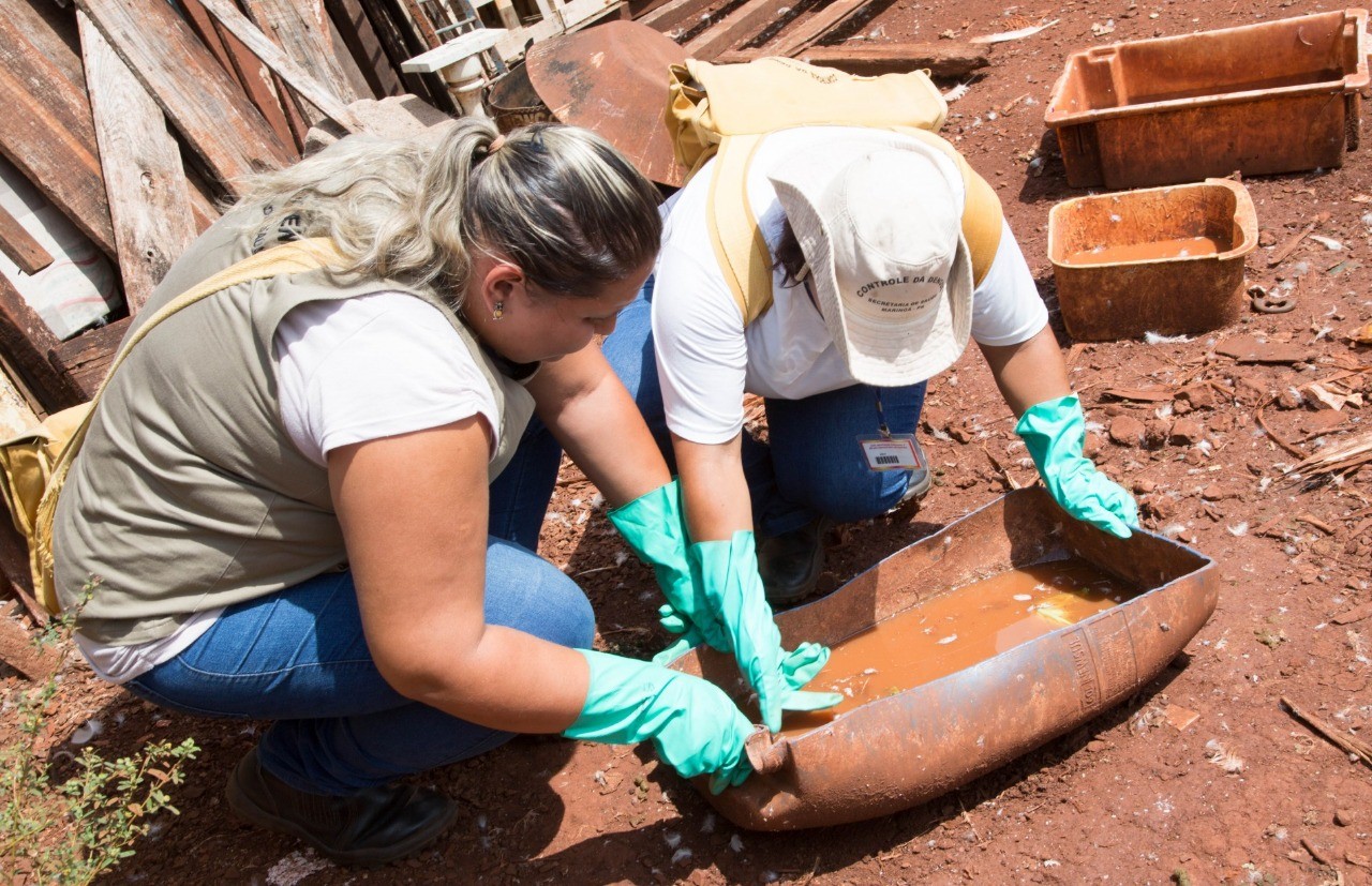 Quatro casos de dengue são confirmados na região de Maringá