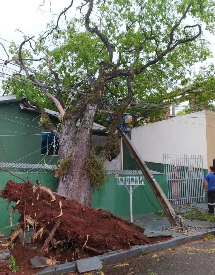 Copel registra queda de 122 postes de energia nas regiões norte e noroeste
