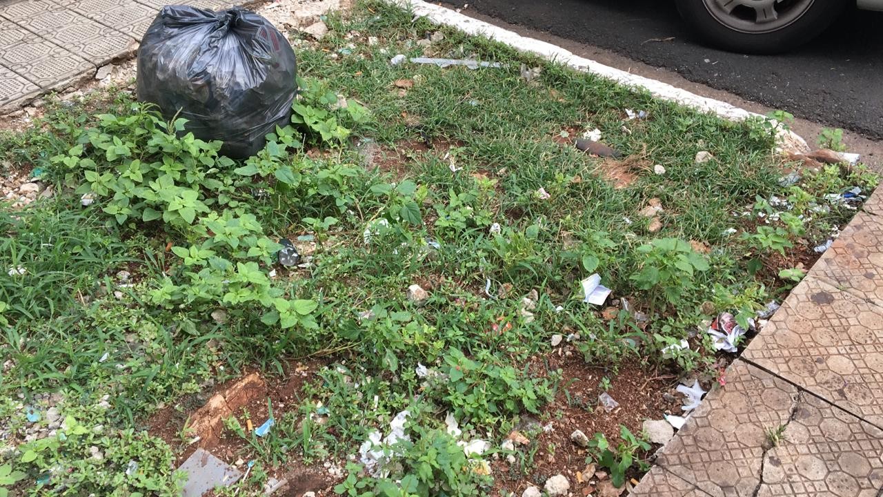 Você acha que Maringá é uma cidade limpa?