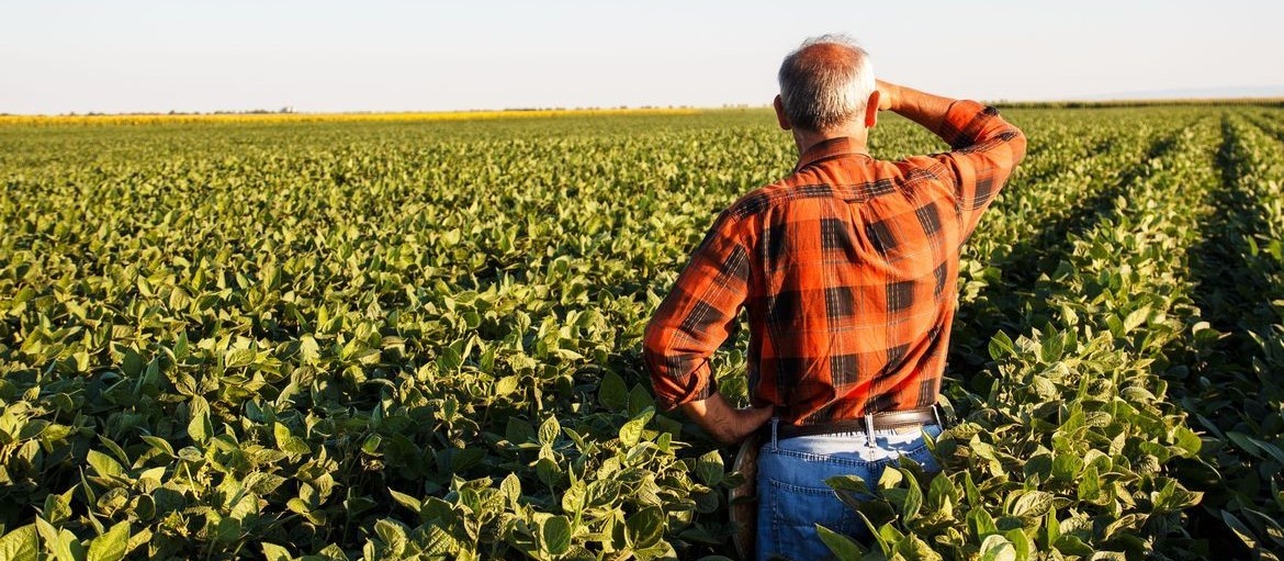 Nesta crise, no agro alguns setores levam uma ‘pancada’ e outros crescem