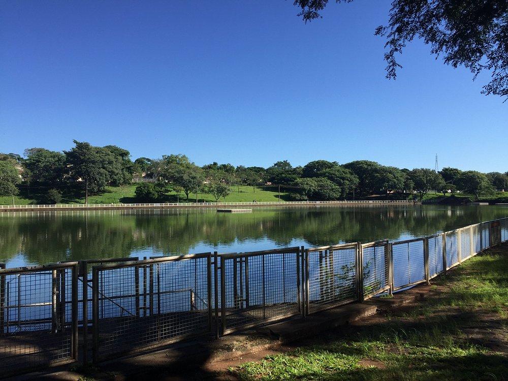 Maringá tem 20 bosques ou parques, muitos abertos à visitação pública