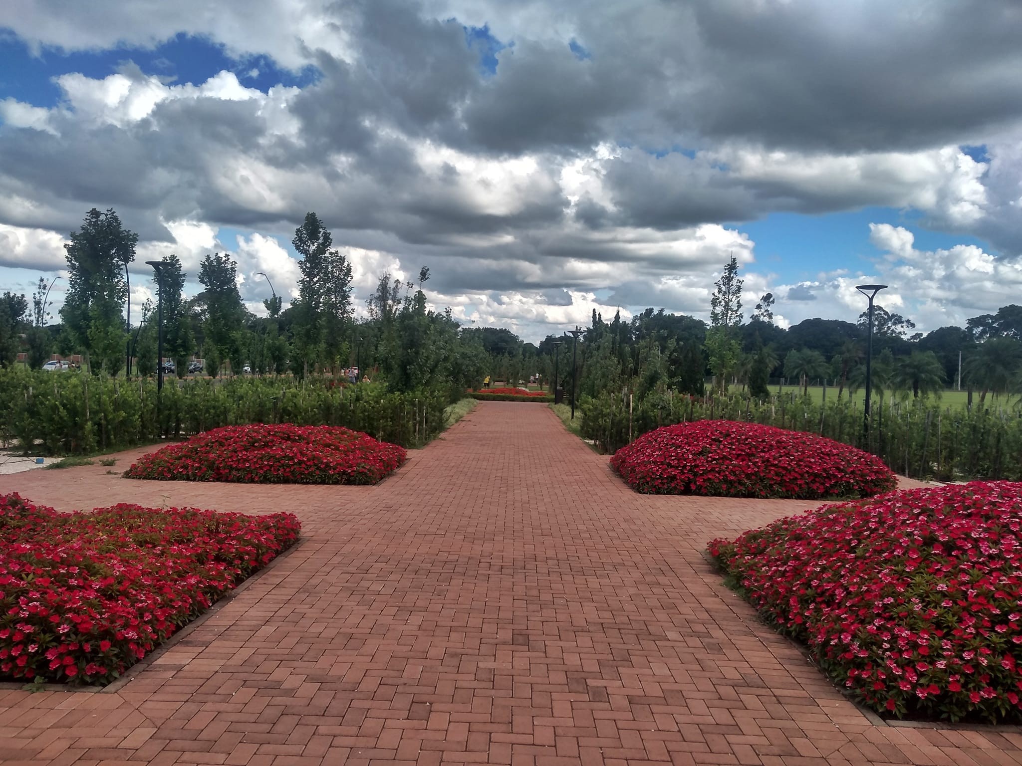 Apesar de muitas nuvens no céu, segunda-feira será de tempo estável em Maringá