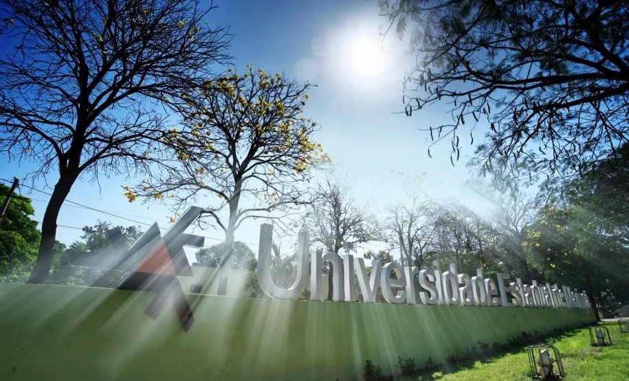 Pesquisa com cinzas de folhas de bananeira rende patente para a UEM