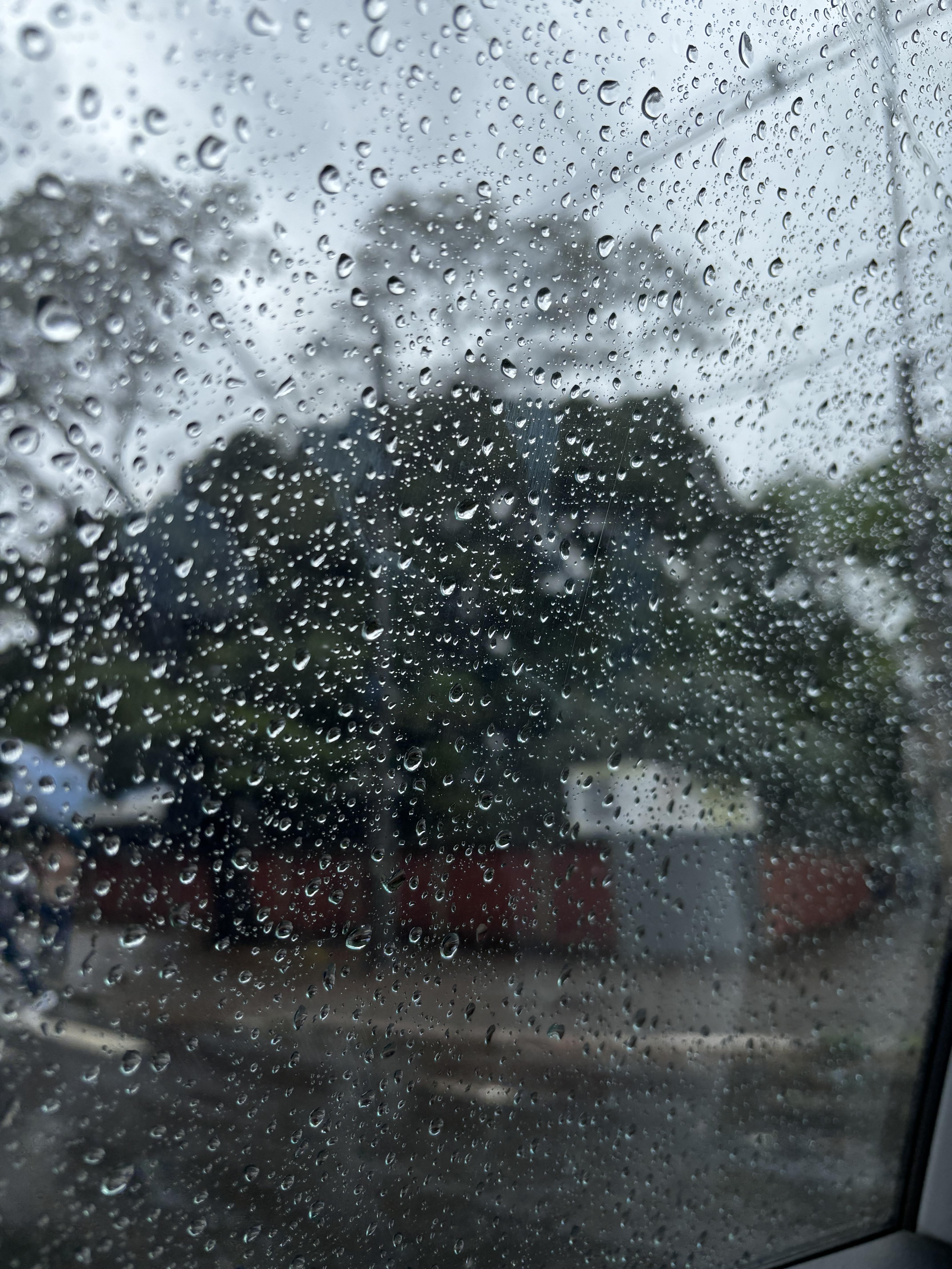 Confira a previsão do tempo para este sábado em Maringá