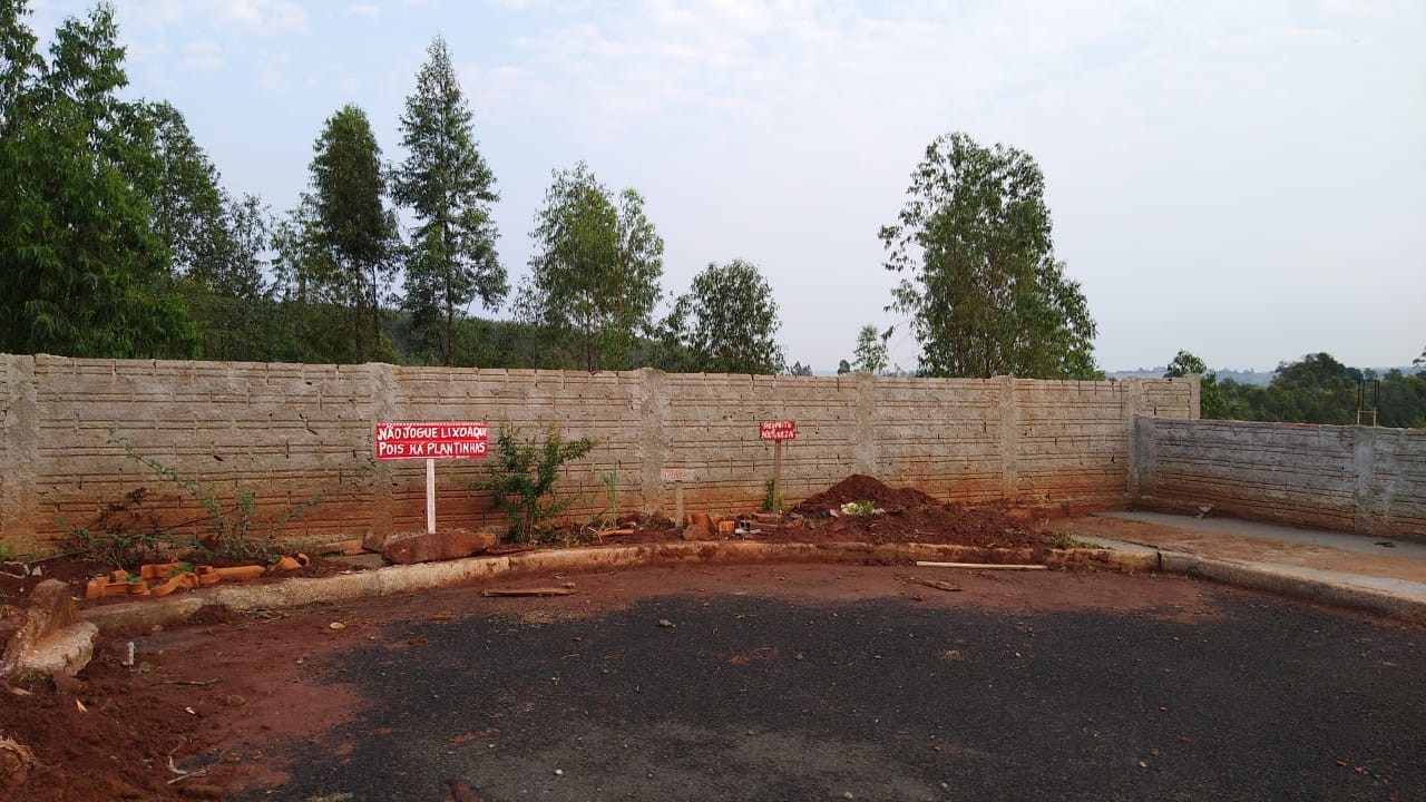 Moradora cultiva plantas em rua sem saída que tinha virado depósito de lixo