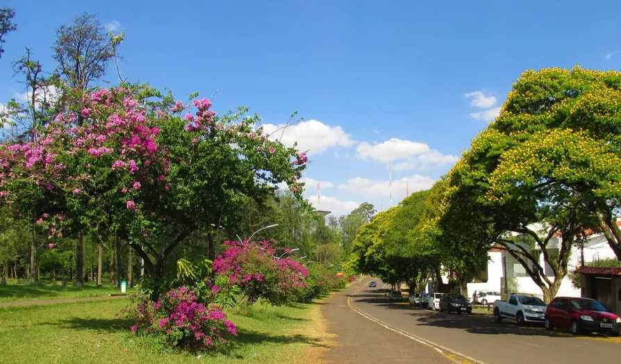 Veja como fica o tempo no Paraná e em Maringá neste domingo