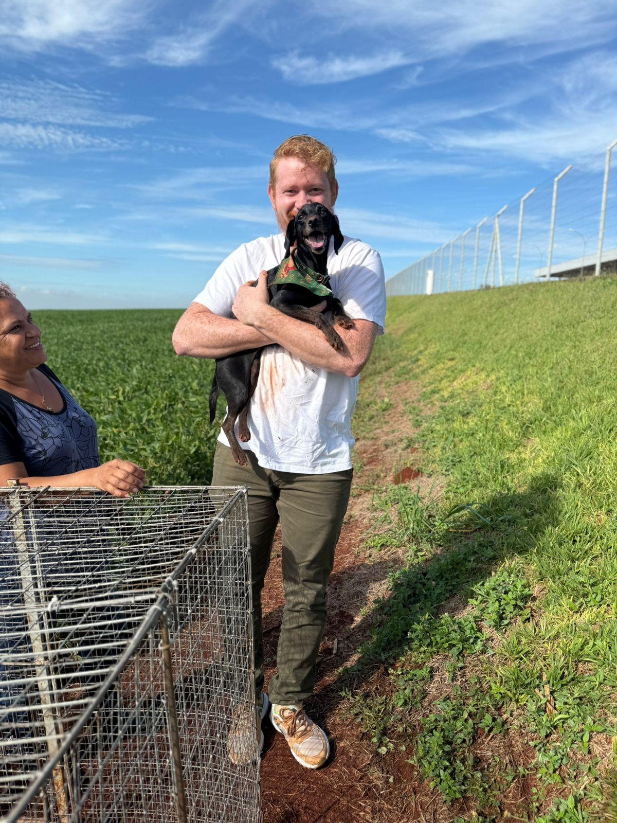 Cachorrinha desaparece após acidente em rodovia e é encontrada 22 dias depois