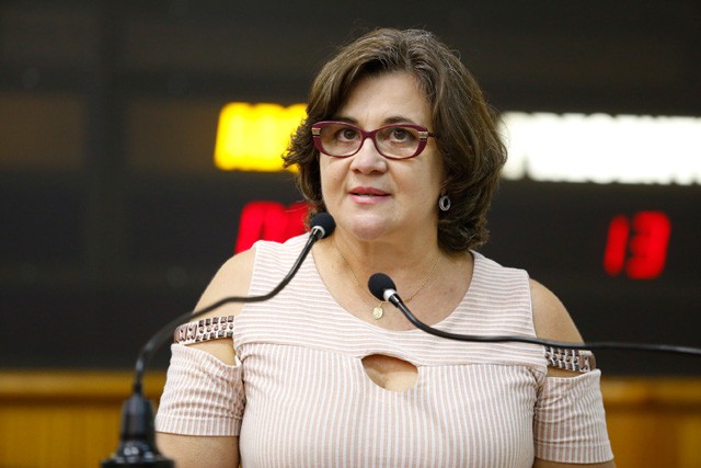 Conselho da Mulher quer atendimento 24h por dia