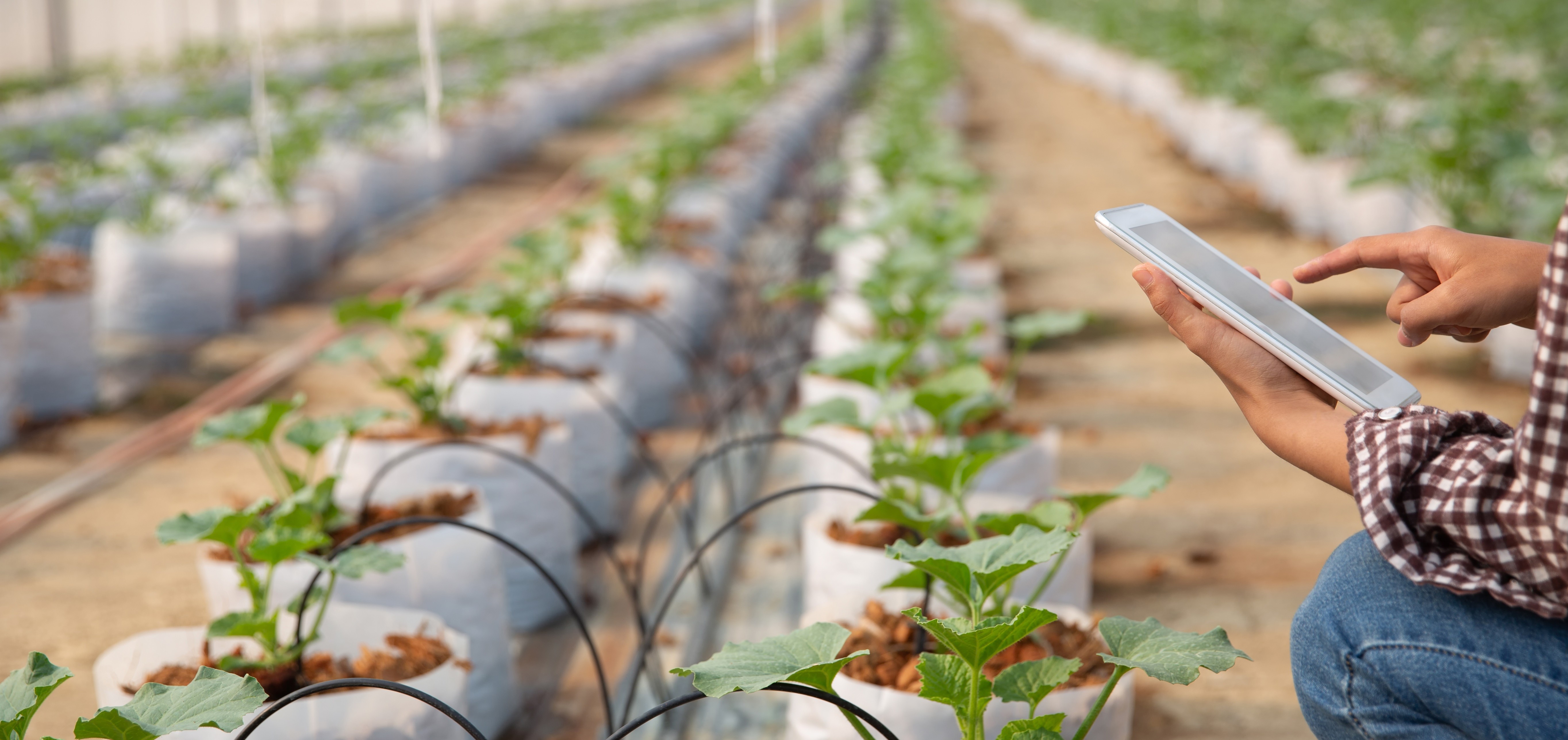 Simpósio apresenta exemplos bem sucedidos de uso dos bioinsumos