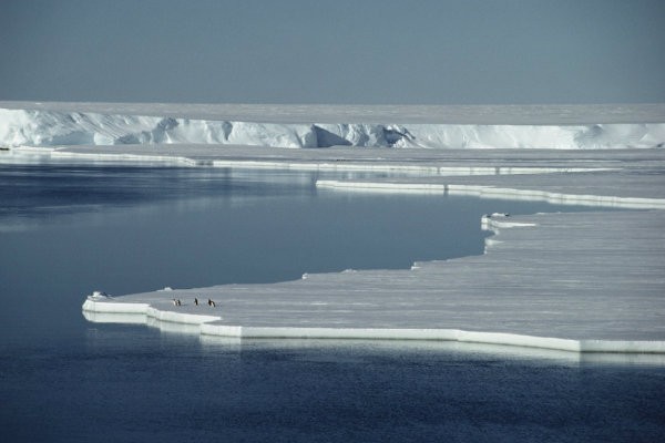Degelo do ártico permite navegação de forma mais curta