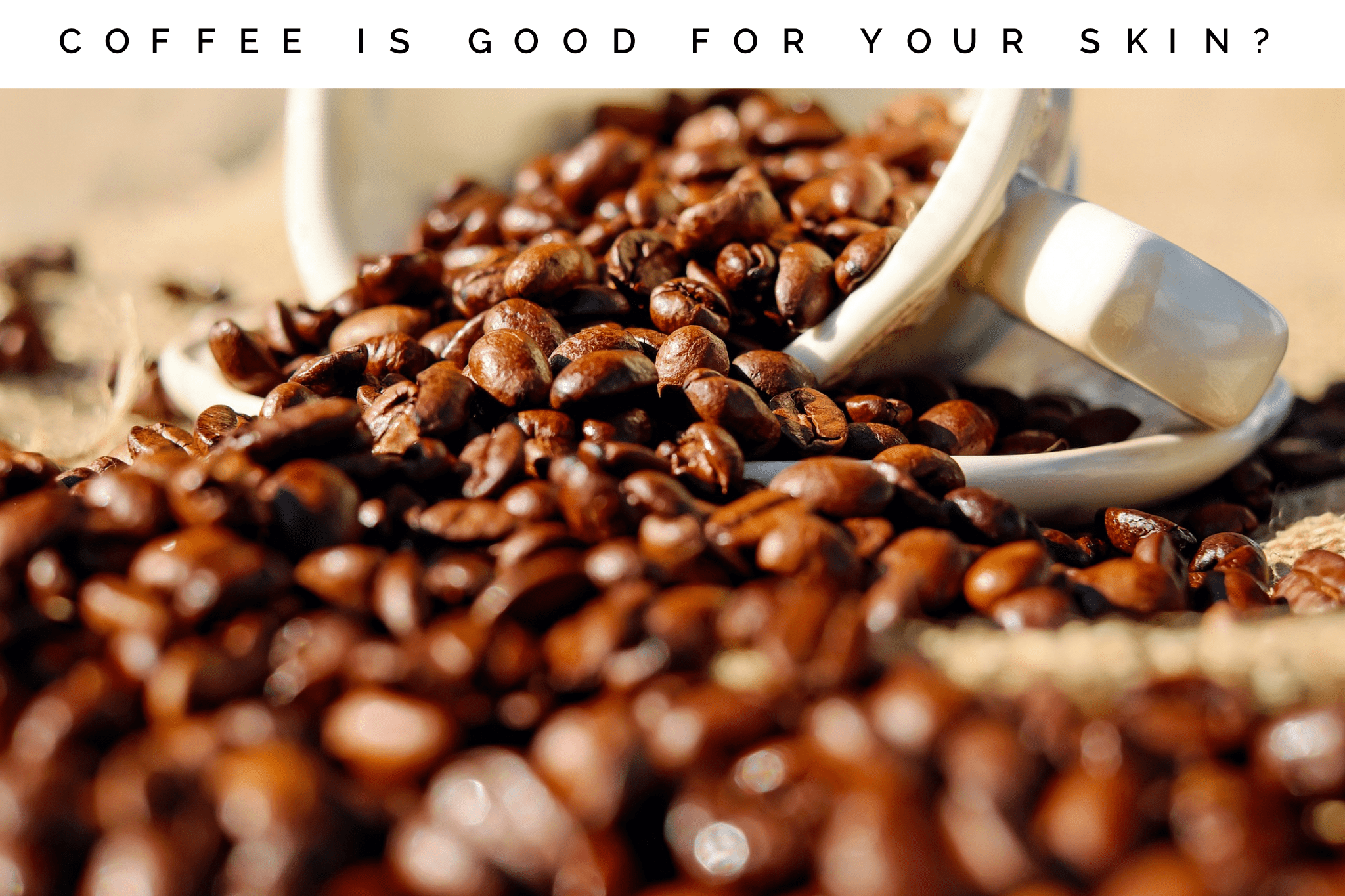 Brasil exporta 41,1 milhões de sacas de café no ano safra 2018/19 e bate recorde