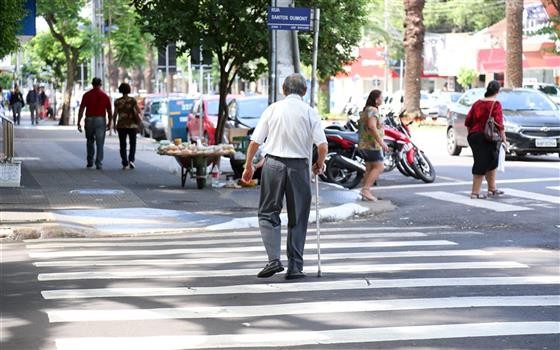 44 dos 139 atropelados neste ano em Maringá eram idosos