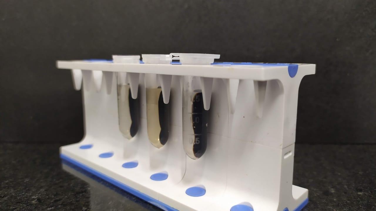 Biossensor é esperança para detecção precoce do câncer de mama