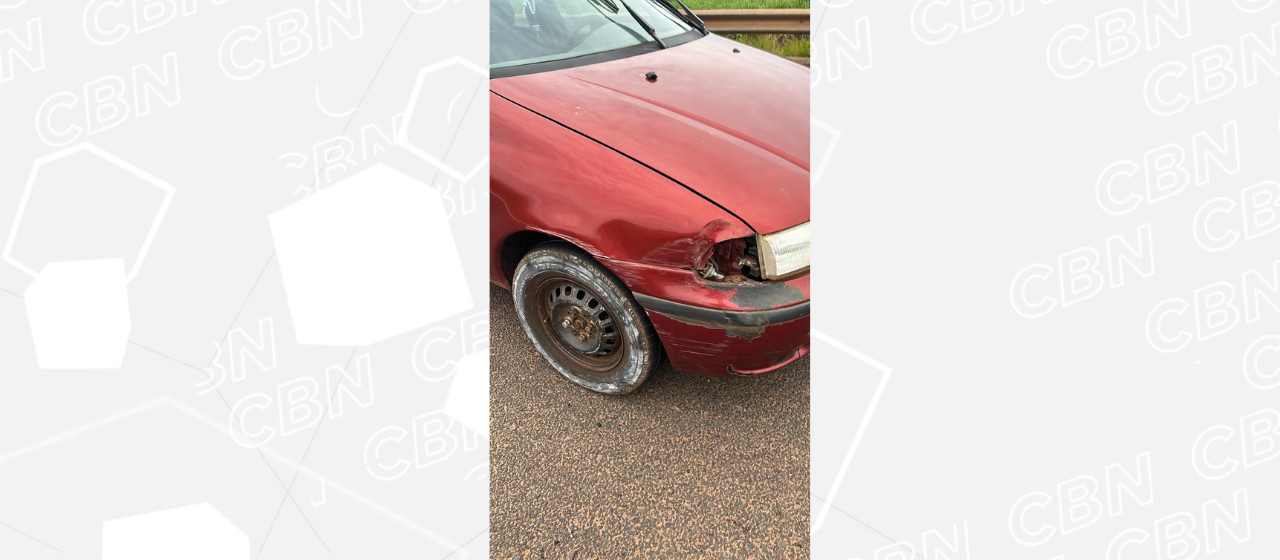 Motorista embriagado e sem CNH dirige pela contramão e é preso