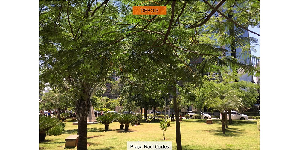 Gestão compartilhada de espaços públicos é novidade em São Paulo