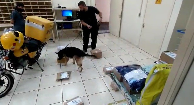 Traficante que vendia drogas pelos Correios é preso na região de Maringá