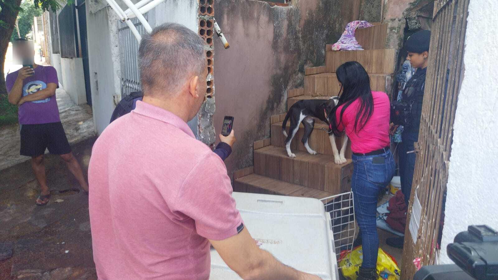 Bombeiros resgatam animais em situação de maus-tratos em Maringá