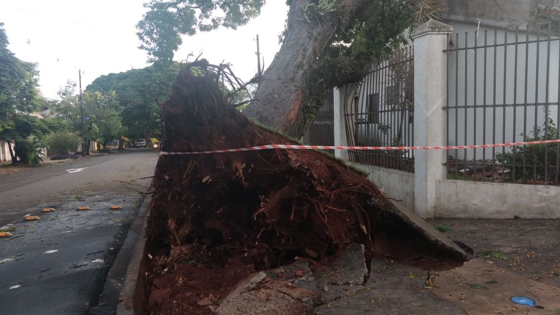 Temporal causa estragos em Maringá e deixa 24 mil imóveis sem luz