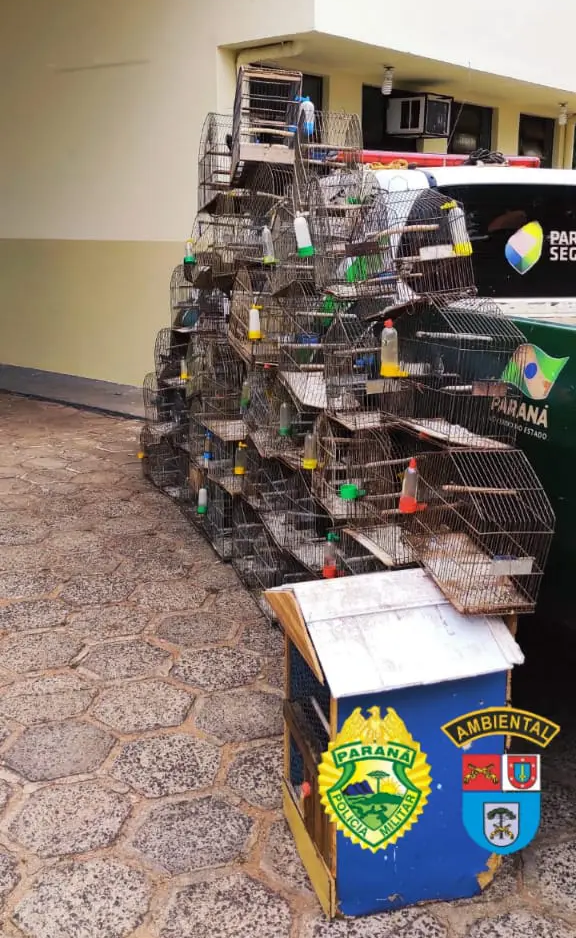 Homem é multado em quase R$ 30 mil por manter aves silvestres em cativeiro