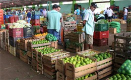 Ceasa de Maringá não abrirá no feriado