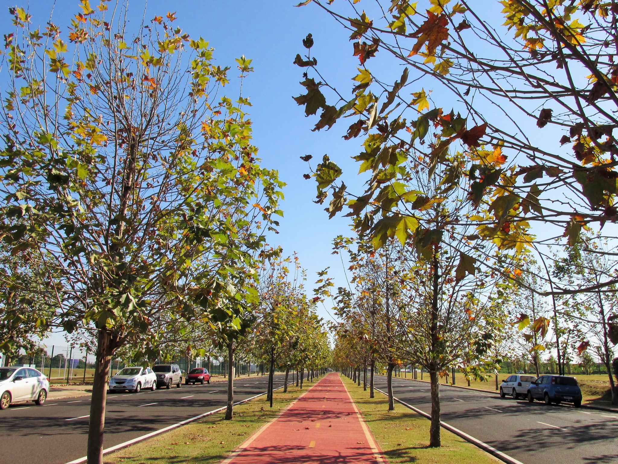 Máxima deve chegar a 33º C em Maringá nesta quarta-feira (21)