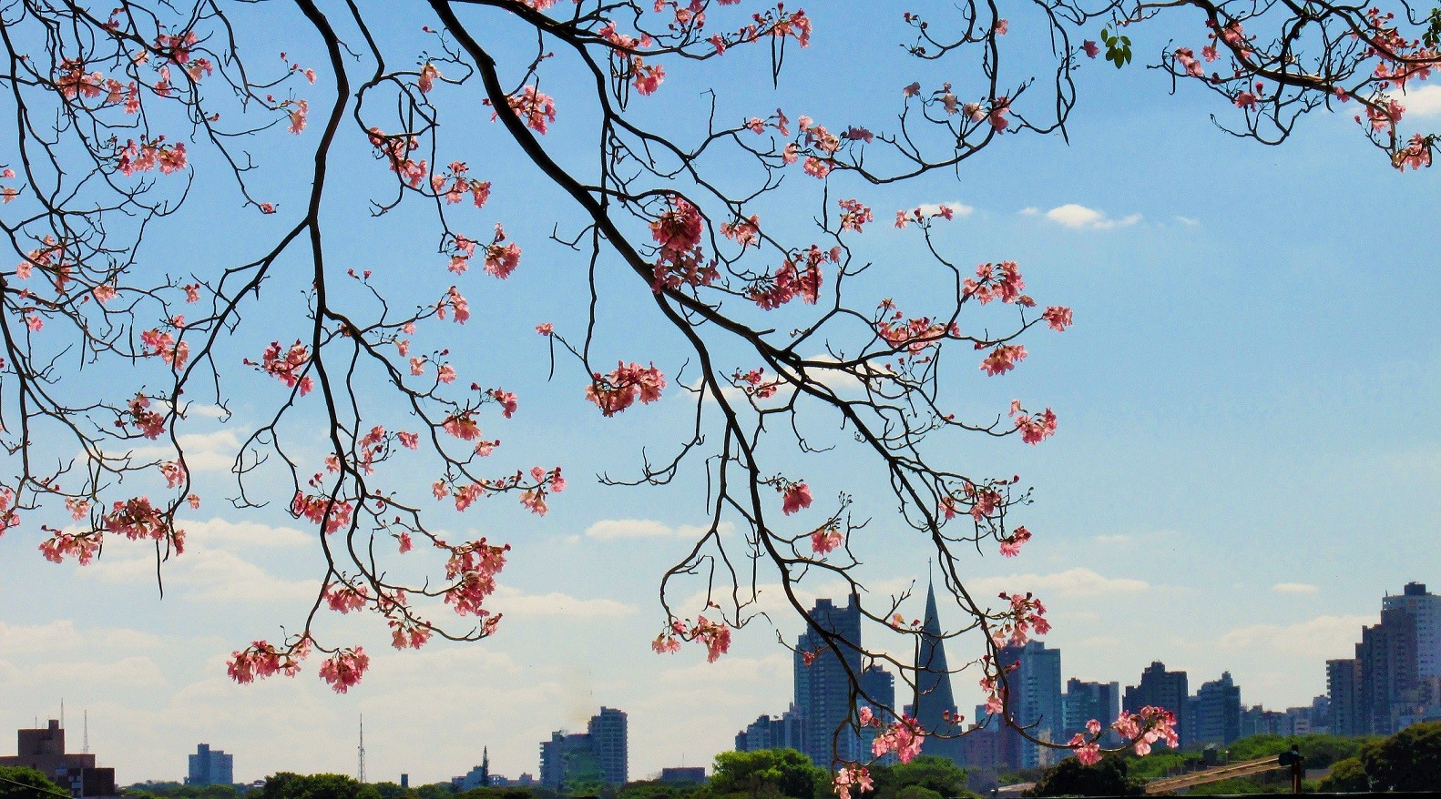 Veja a previsão do tempo para esta terça-feira (21)