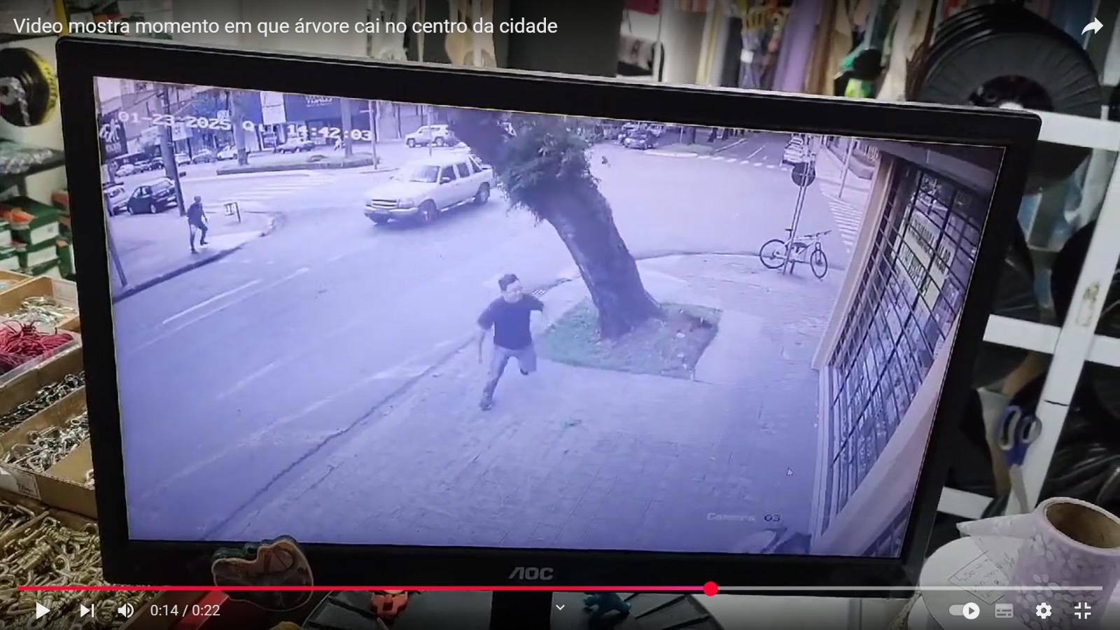 Video: árvore cai e atinge caminhonete em movimento no centro de Maringá
