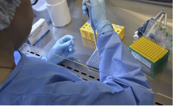 Covid-19 em Maringá: veja os dados do boletim atualizado nesta sexta-feira (14)