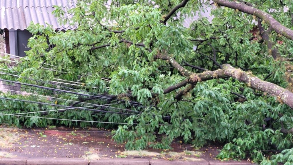 Copel atualiza número de imóveis sem energia elétrica neste domingo (8), em Maringá