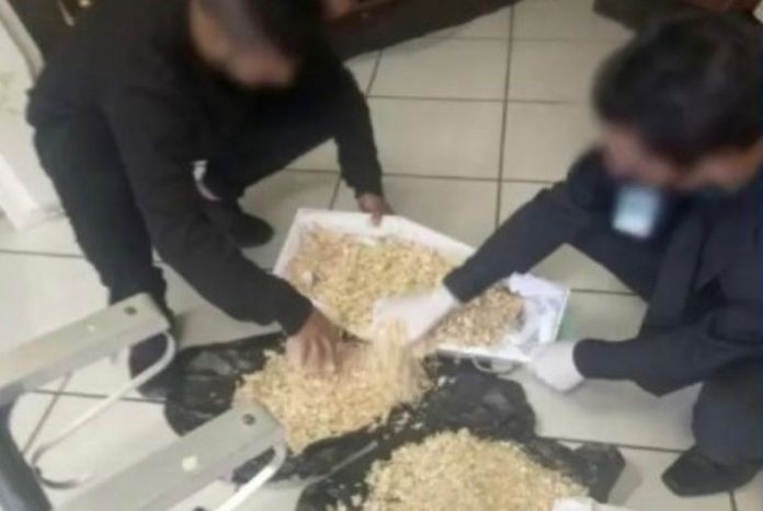 Corpo de bebê natimorto é trocado por serragem