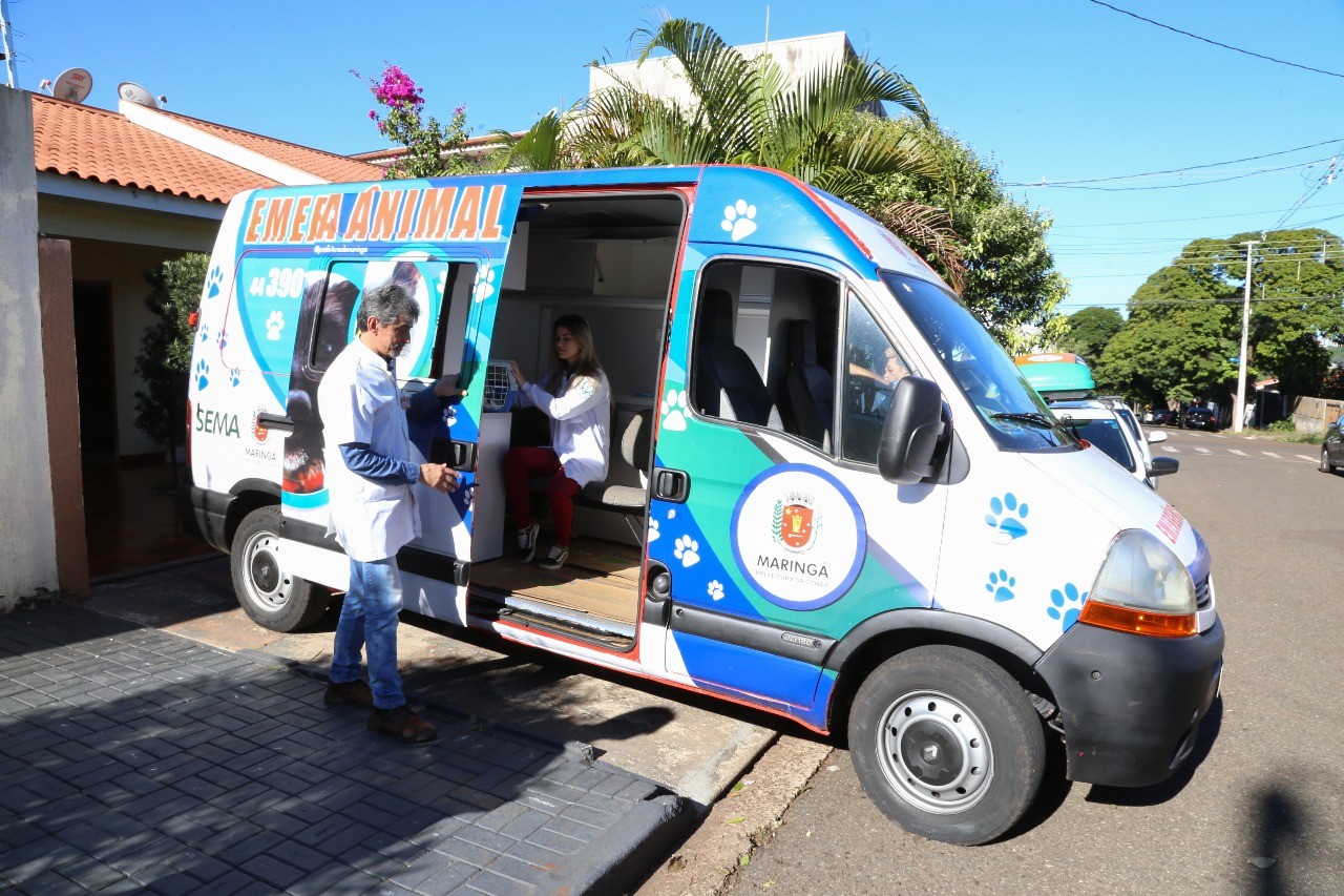 Ouvinte diz que procurou Emergência Animal e não foi atendido